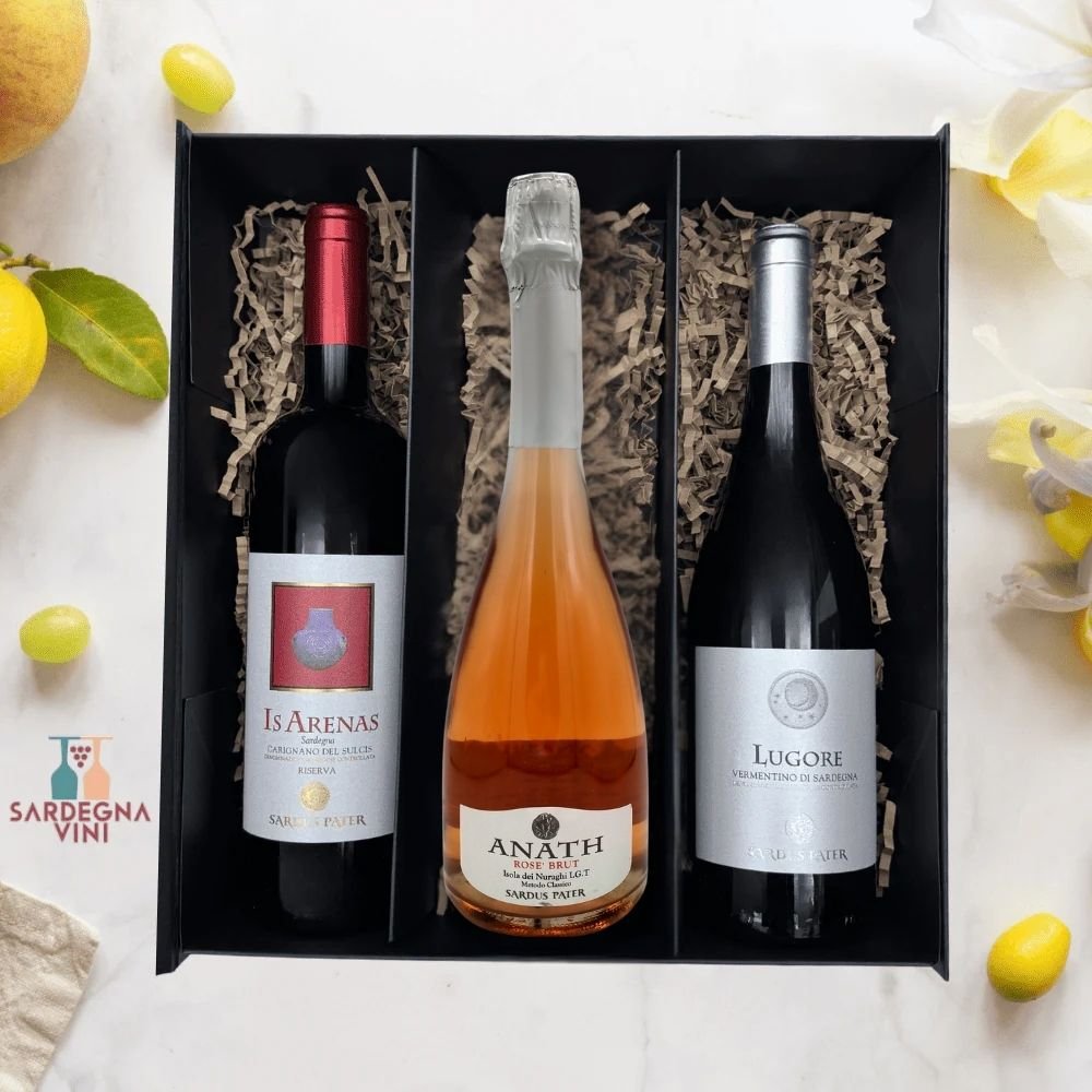 Gift box containing three bottles of Sardus Pater wine from Sardegnavini, elegantly packaged for special occasions.