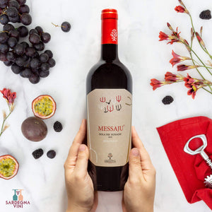 Barriu Isola dei Nuraghi 2016 Surrau