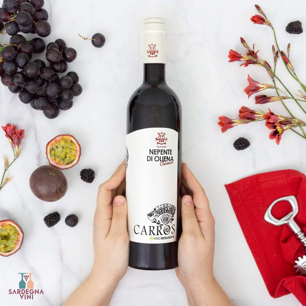 Bottle of Carros Nepente di Oliena Cannonau DOC red wine by Azienda F.lli Puddu, featuring a rich, deep color.