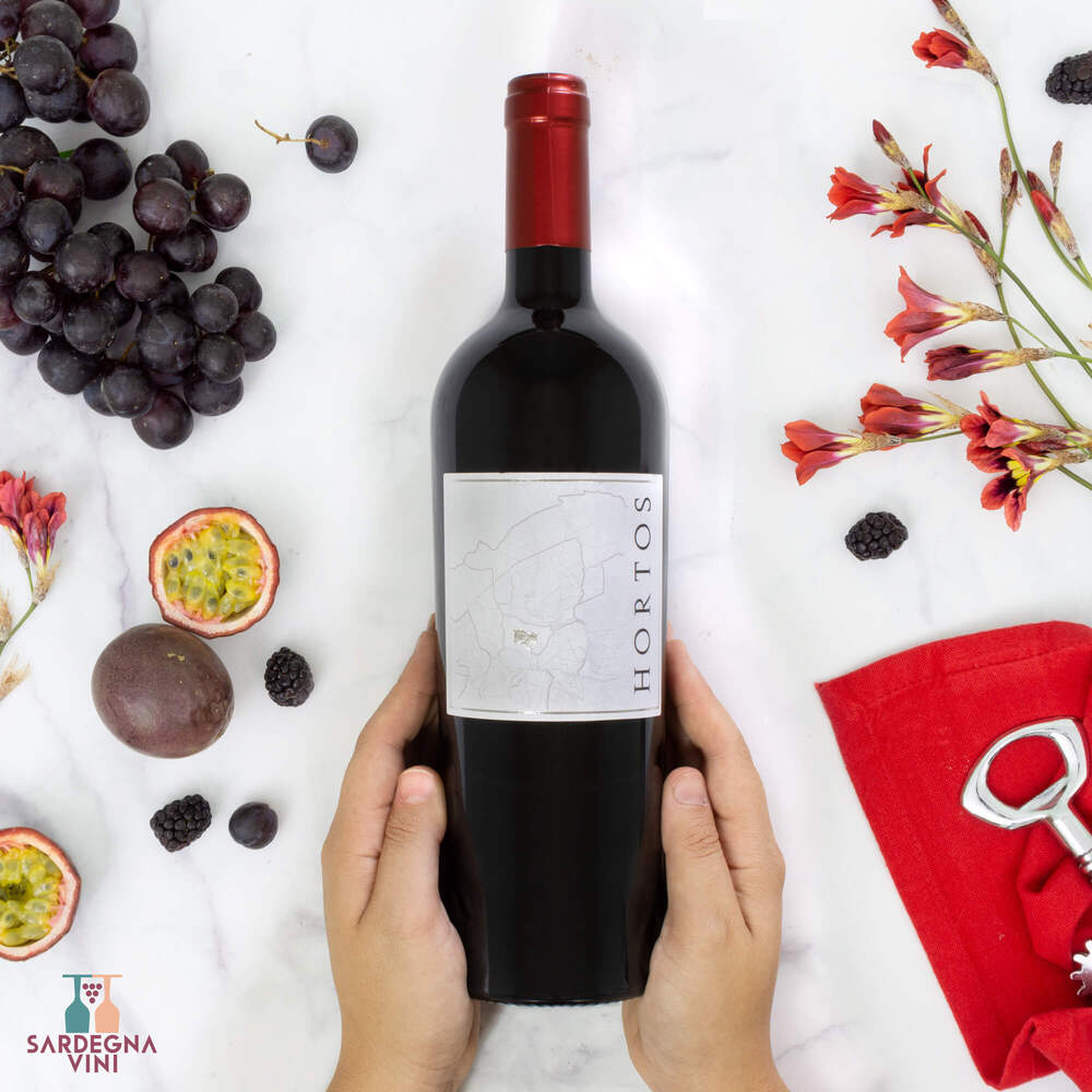 Hortos Isola dei Nuraghi IGT 2022 red wine bottle by Cantina Dorgali with a vibrant label against a textured background.