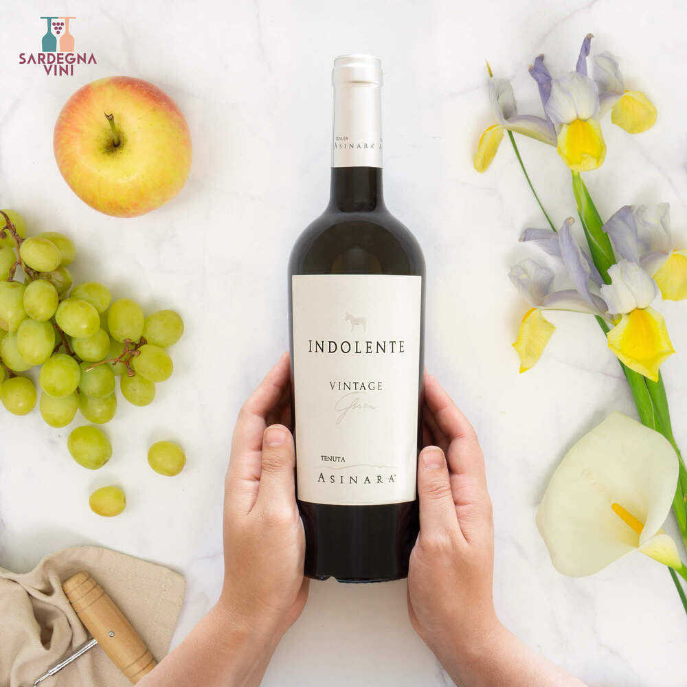 Indolente Vintage Grazia Vermentino 2023 bottle with elegant label, showcasing a white wine from Tenuta Asinara.