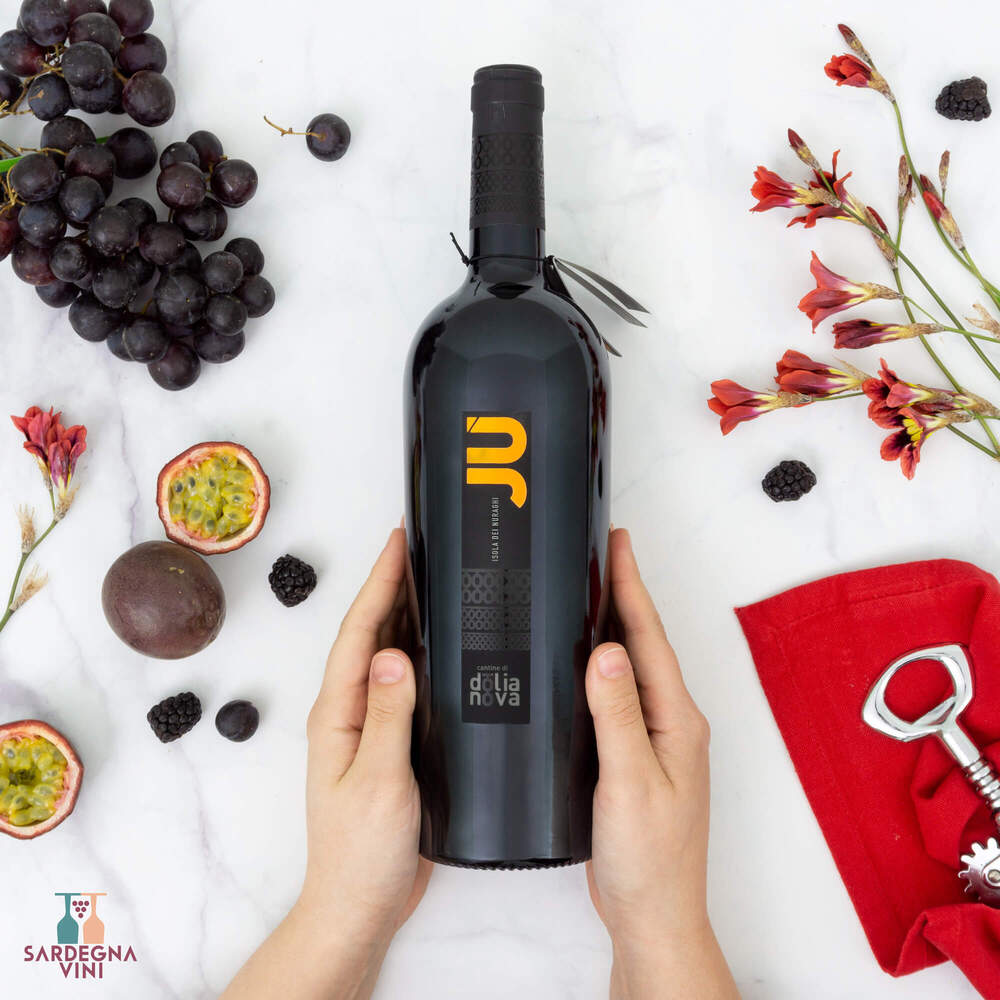 Red wine bottle Ju Isola dei Nuraghi IGT 2019 by Cantine di Dolianova with elegant label design against a neutral background.