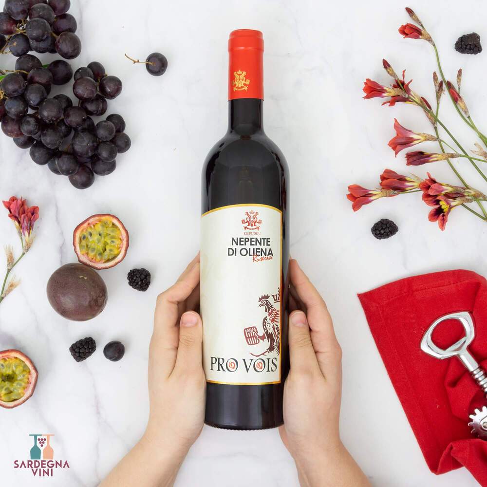 Pro Vois Cannonau Nepente di Oliena Riserva 2019 wine bottle with dark red liquid and elegant label design.