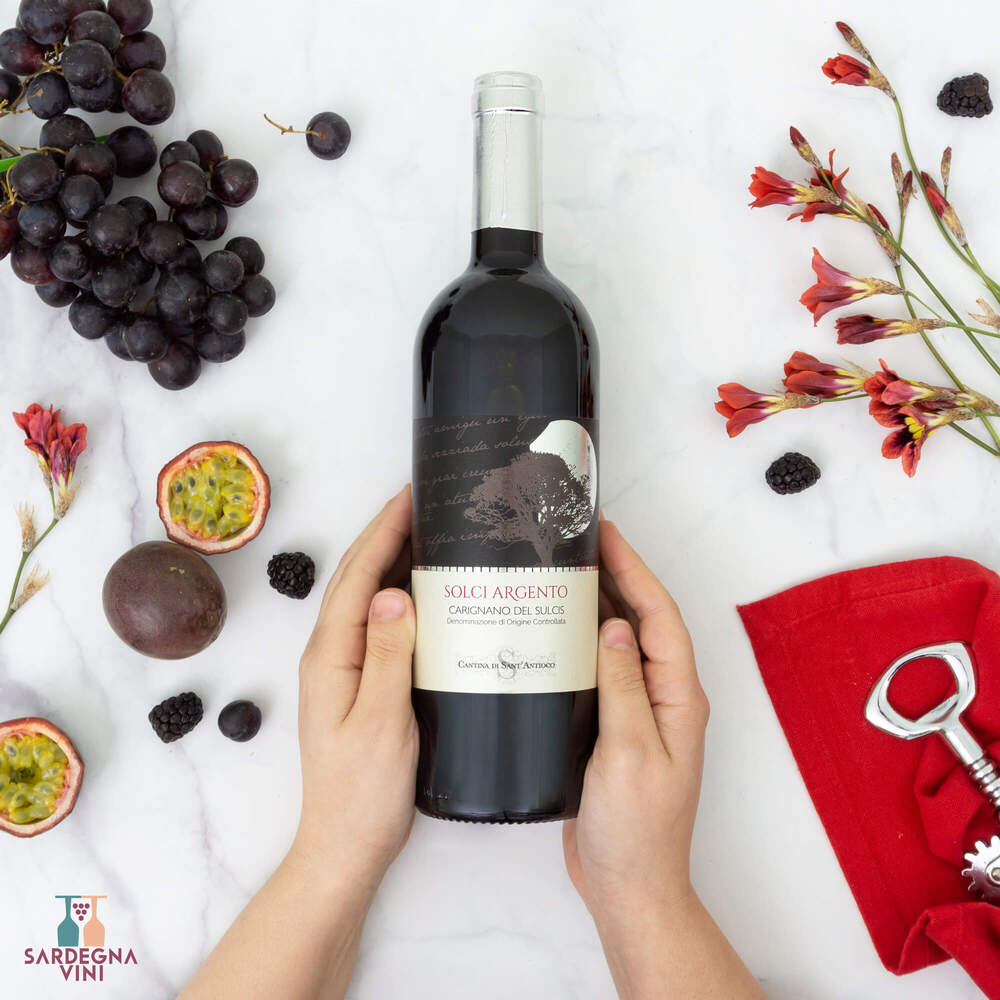 Sardus Pater Solci Argento Carignano del Sulcis 2024 red wine bottle with elegant label and dark glass.