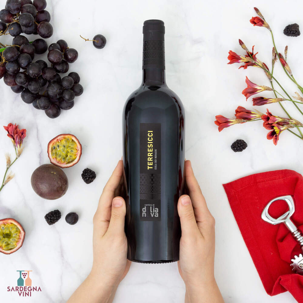 Terresicci Barbera Isola dei Nuraghi IGT 2017 - Sardegnavini